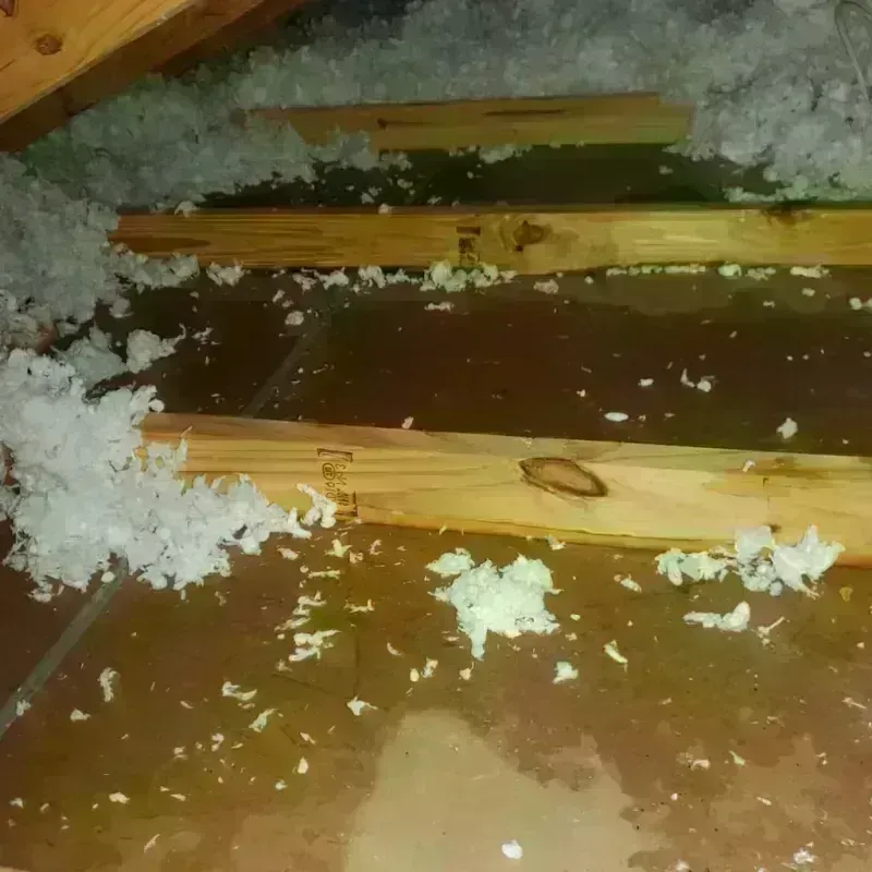 Attic Water Damage in Hyden, KY